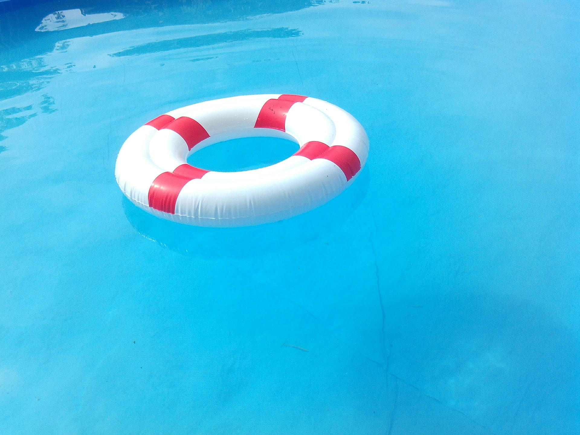 rot-weißer Schwimmer